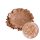 Resinpro pigment mica - csillogós barack - (10gr)